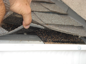 Stucco Inspections